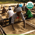 Ethiopia Organic Guji Benti Neka - Humble Mornings Coffee Co.