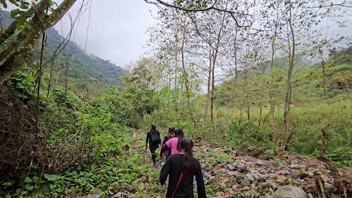 Mexico – La Tribú Community