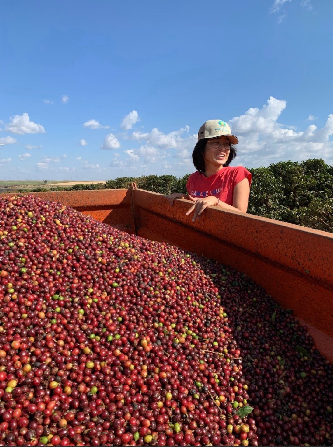 Brazil - Yuki Minami - Humble Mornings Coffee Co.