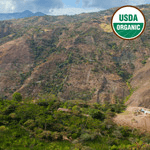 COLOMBIA ORGANIC NARINO ALIANZA - Humble Mornings Coffee Co.