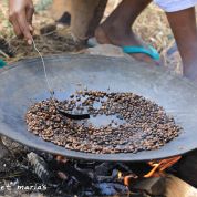 Ethiopia Dry Process Senna Katta Mountain