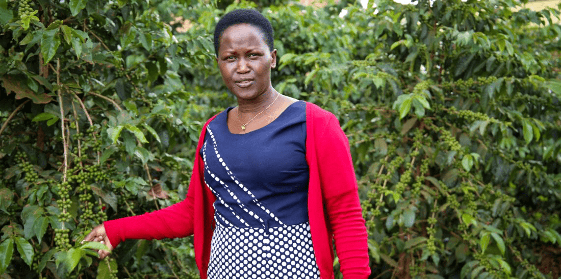 Uganda - Masha Kween Communit - Humble Mornings Coffee Co.